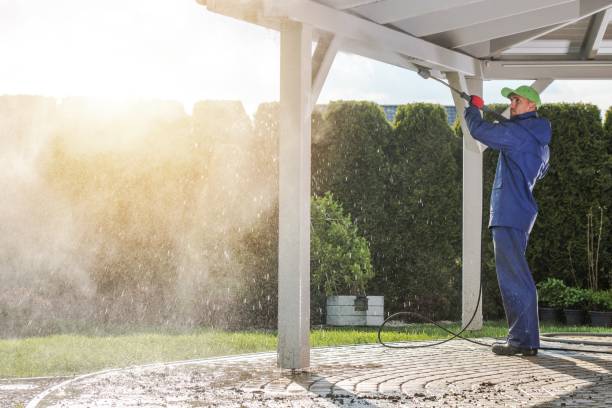 Trusted Bloomington, TX Pressure Washing Experts