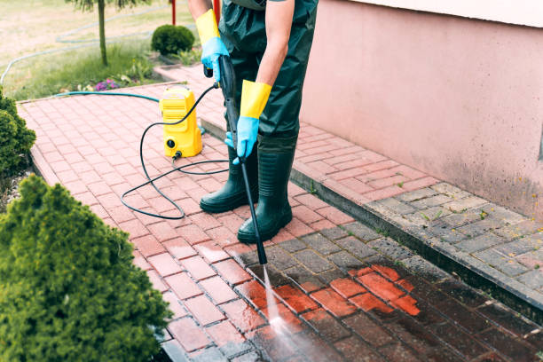 Best Playground Equipment Cleaning  in Bloomington, TX
